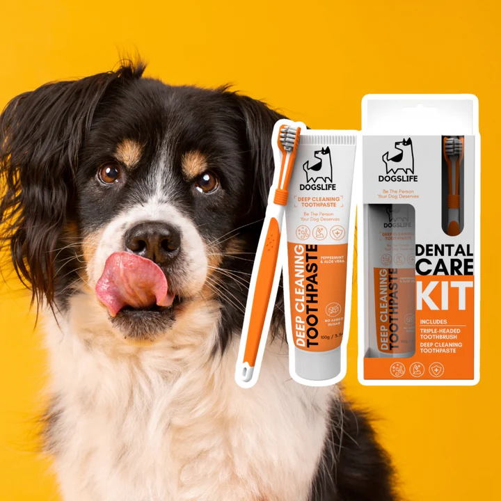 Dogslife Dental Care Kit 100g Deep Cleansing Toothpaste image 4