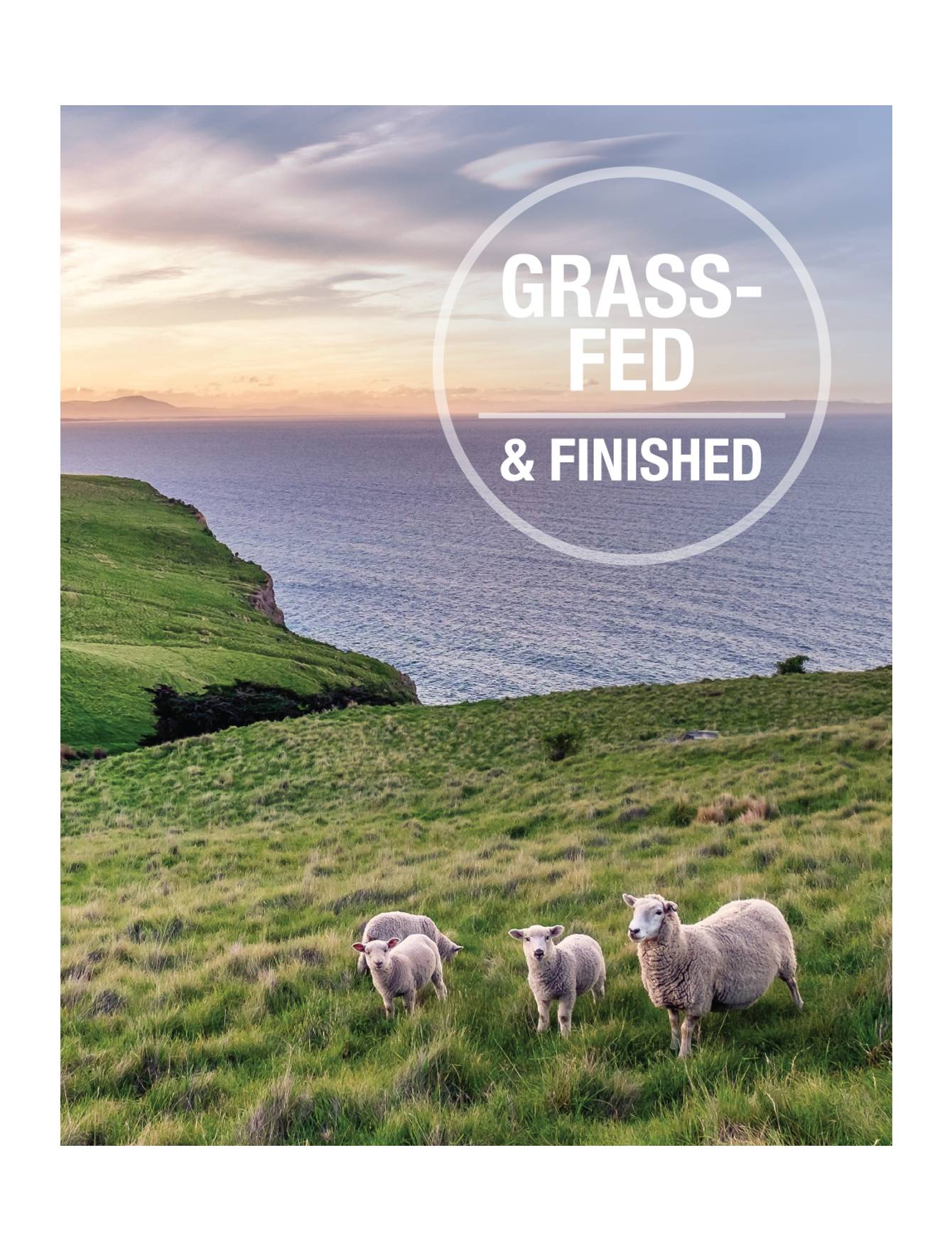 K9 Natural Dog 370g Lamb Feast Canned Wet Dog Food image 5