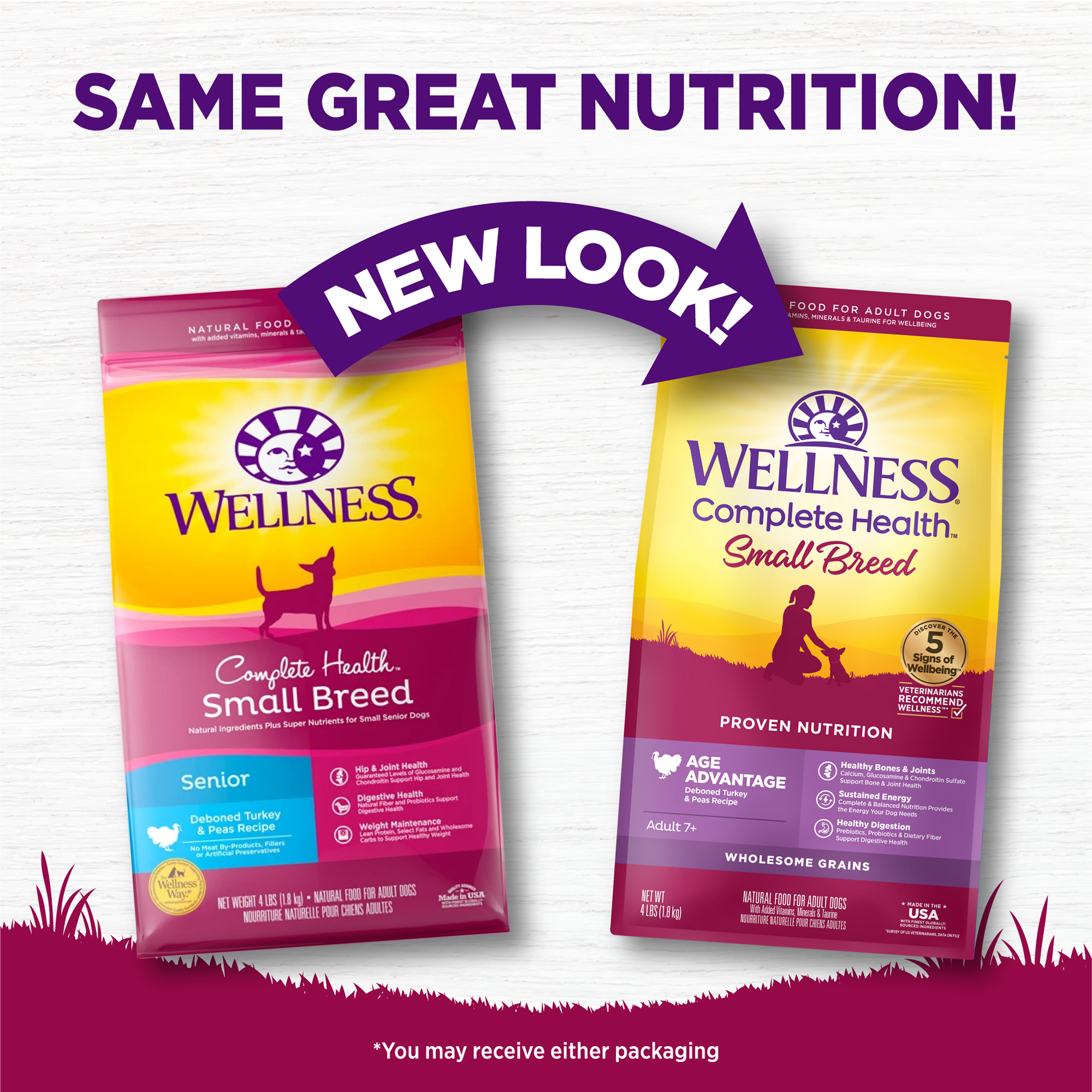 Wellness Complete Health 4lb (1.8kg) Small Breed Senior Deboned Turkey & Peas Dry Dog Food image 4