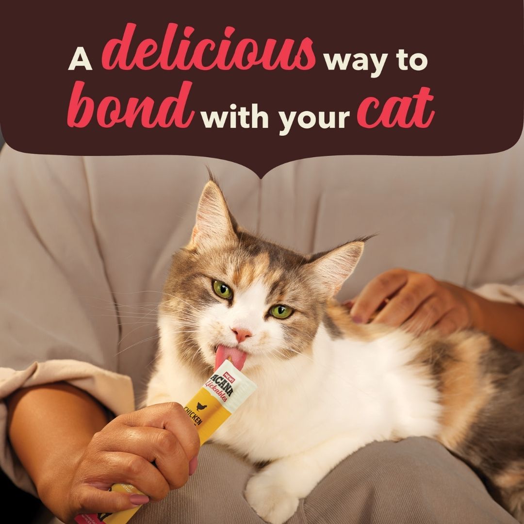[NOT FOR SALE] Acana Cat 14g Lickables Chicken Cat Treats Sample image 5
