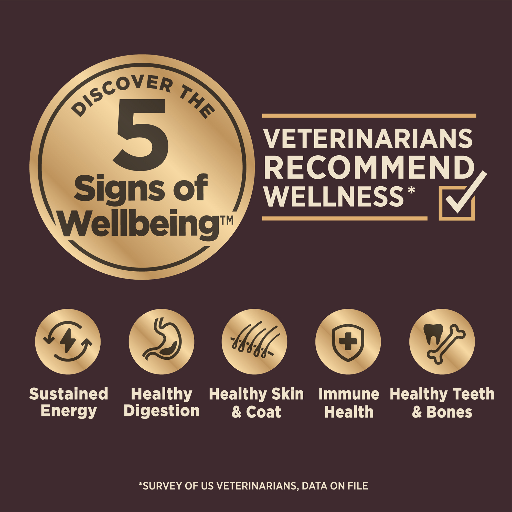 Wellness CORE+ (Formerly RawRev) Dog 4.5kg (10lb) Puppy with Freeze Dried Turkey Grain Free Dry Dog Food image 2