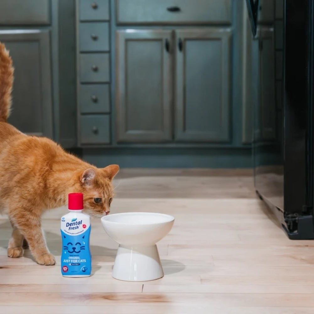Dental Fresh Water Additive Original Formula For Cats 8oz (237ml) image 2