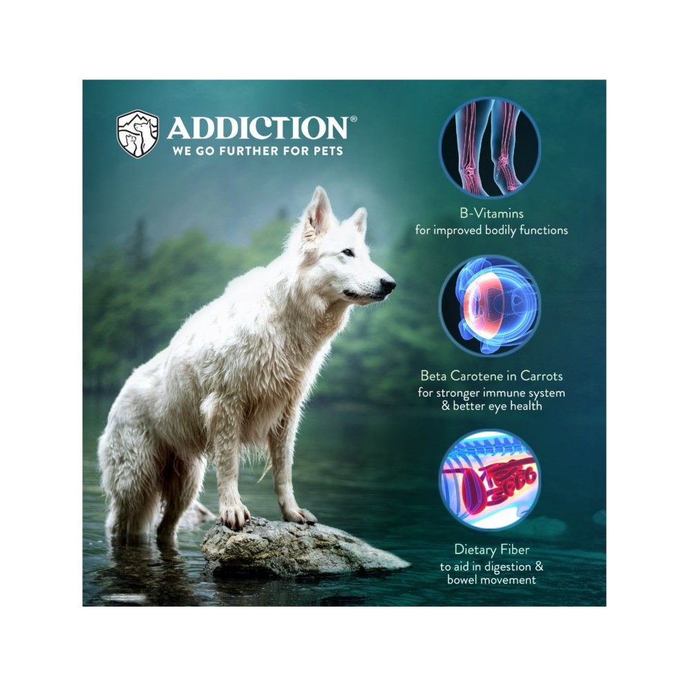 Addiction Homestyle Dinner Venison & Cranberry Dog Dry Food 2lbs image 2