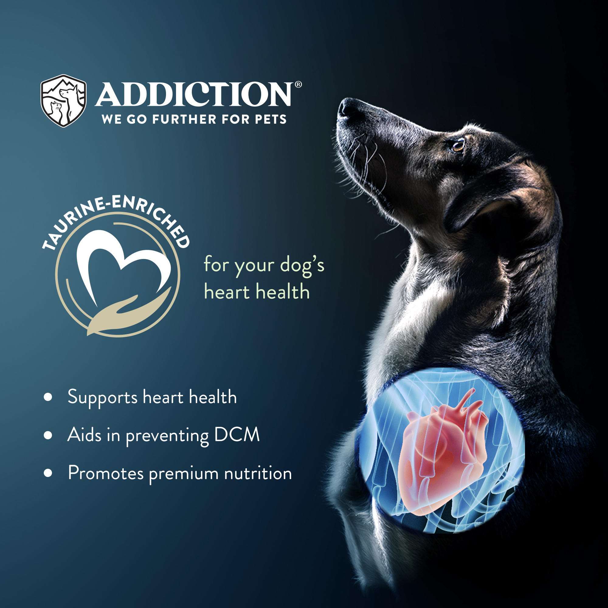 Addiction Dog 9kg Grain Free Salmon Bleu Puppy Dry Dog Food image 3