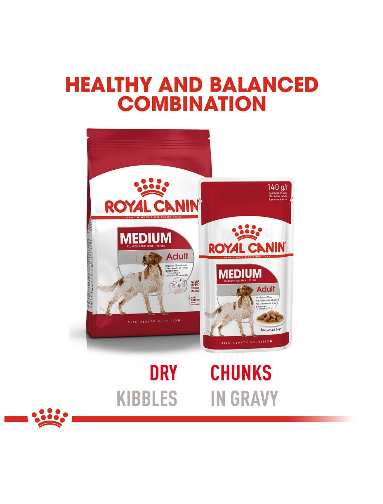 Royal Canin Dog Pouch 140g Medium Adult Wet Dog Food image 2