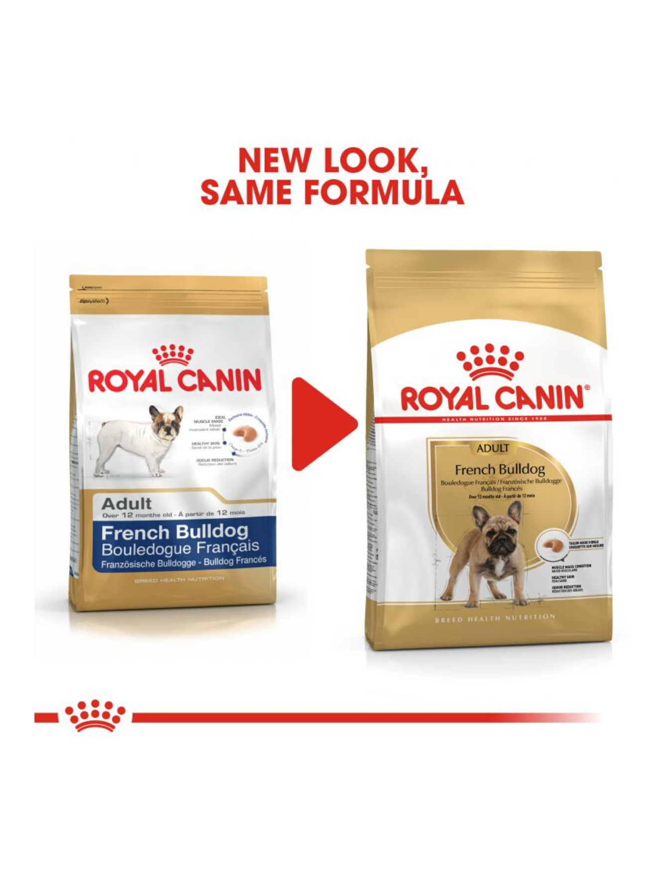 Royal Canin Dog 3kg Adult French Bulldog Dry Dog Food image 3