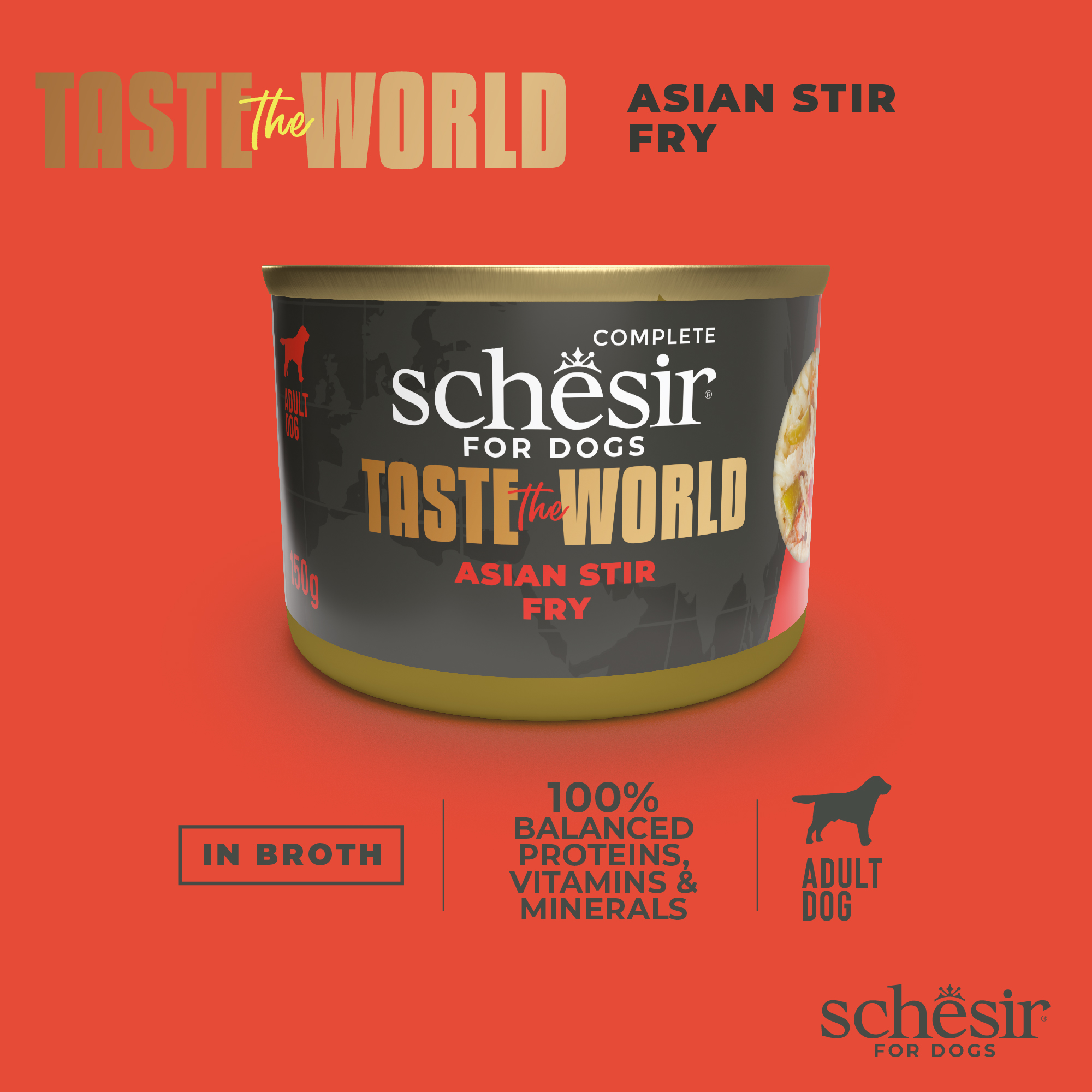 Schesir Dog Taste the World Canned 150g Asian Stir Fry in Broth Wet Dog Food image 4