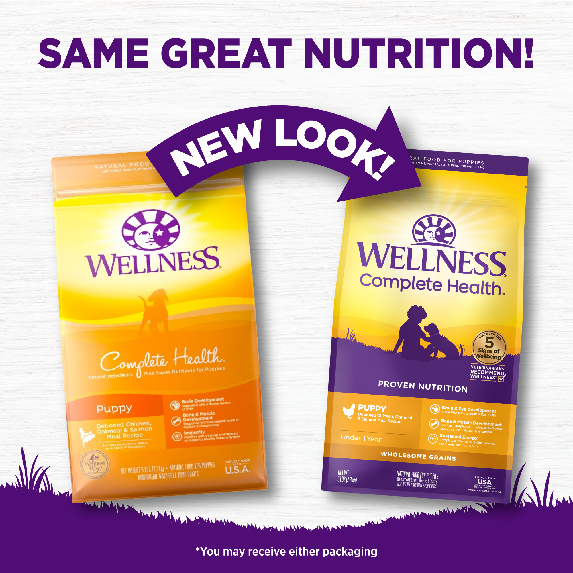 Wellness Complete Health 5lb (2.3kg) Puppy Deboned Chicken, Oatmeal & Salmon Dry Dog Food image 5
