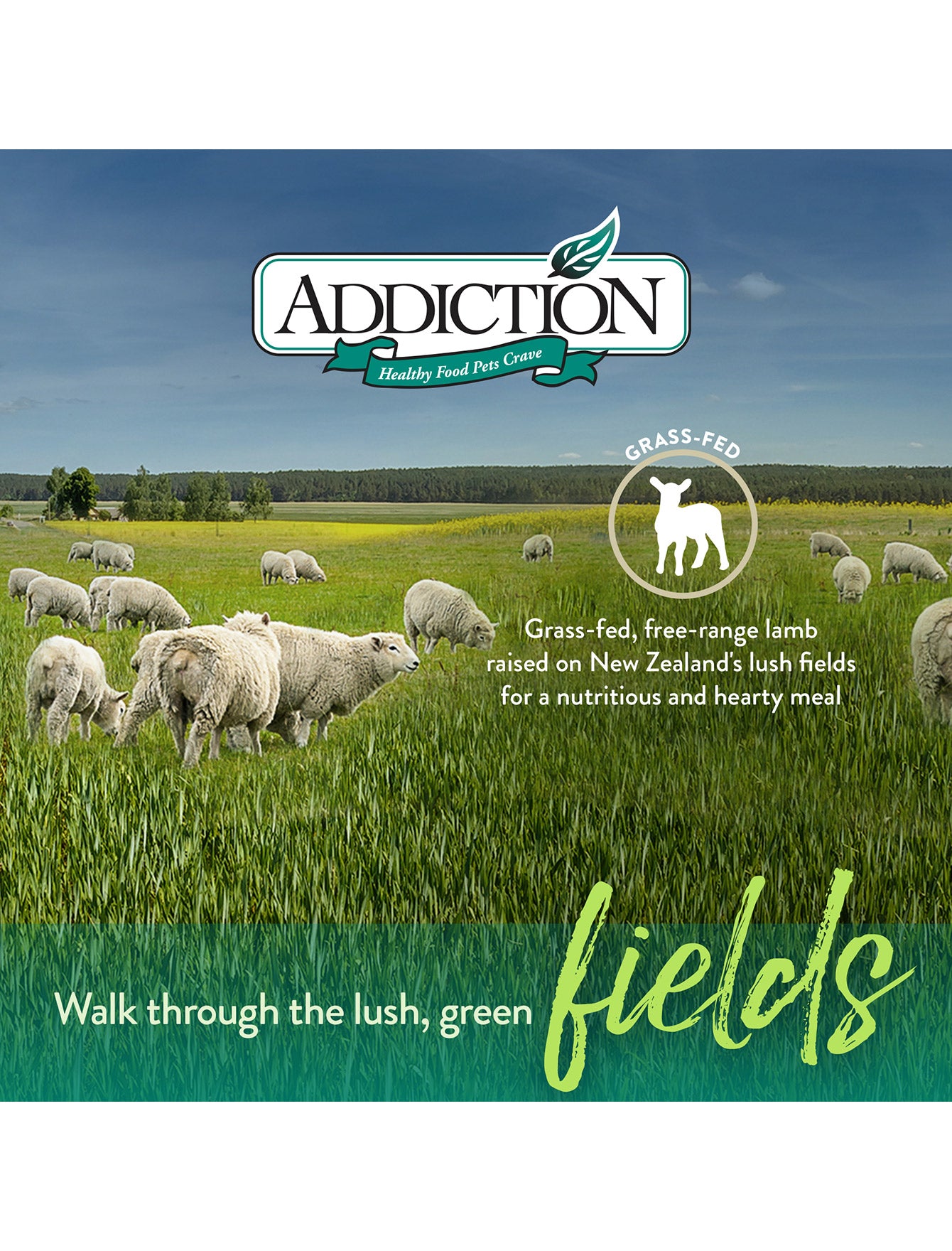Addiction Dog 1.8kg Grain Free Le Lamb Dry Dog Food image 3