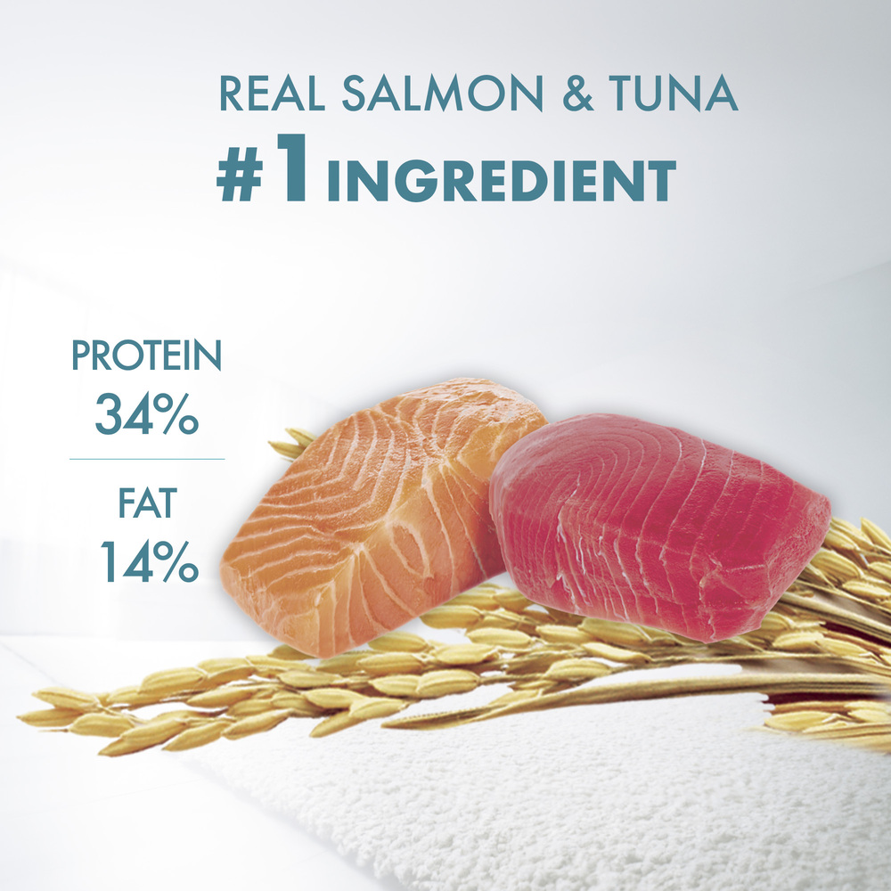PURINA ONE Cat 1.2kg Healthy Adult Salmon and Tuna Dry Cat Food image 6
