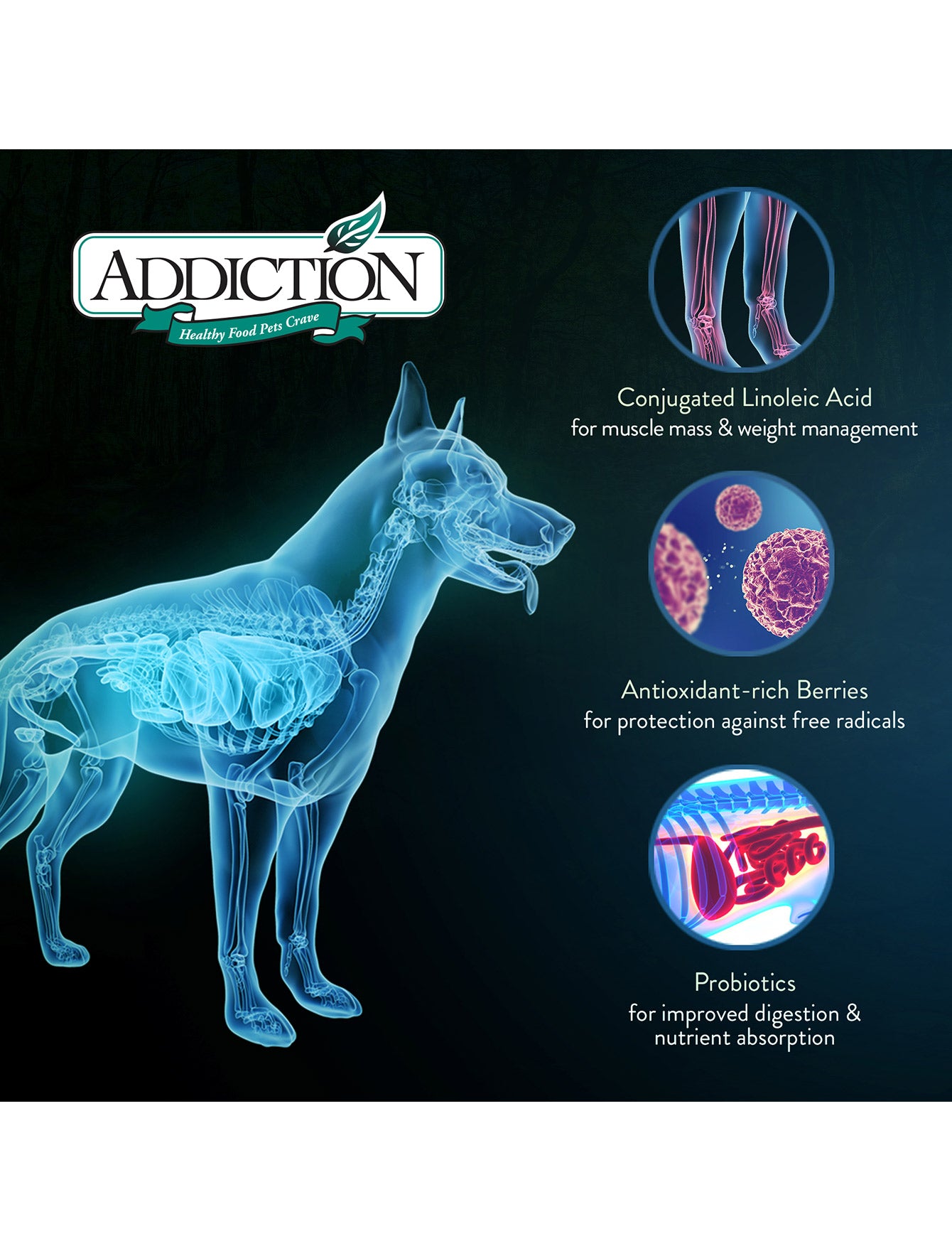 Addiction Dog 1.8kg Grain Free Viva La Venison Dry Dog Food image 3