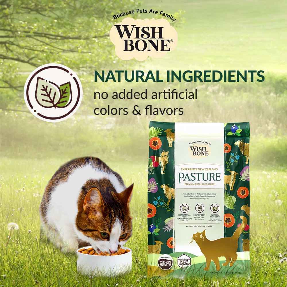 Wishbone Cat 4lb Pasture Lamb Whole Pet Health w/8 Superfoods Dry Cat Food image 4