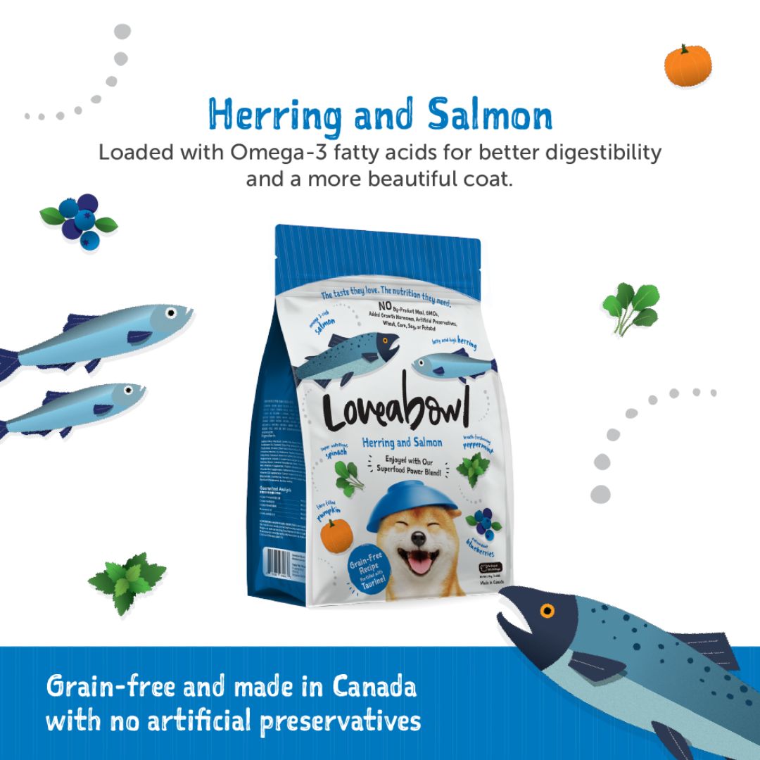 Loveabowl Dog 4.5kg Grain Free Herring & Salmon Dry Dog Food image 2