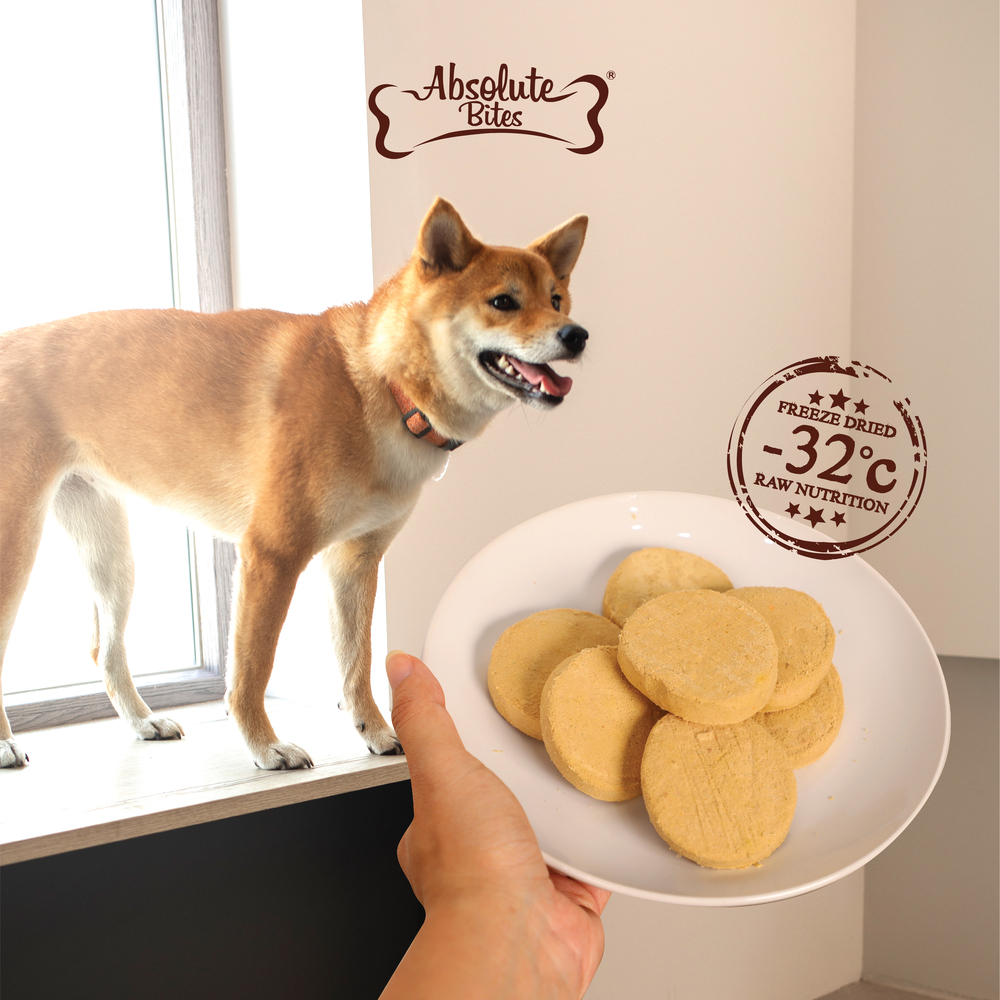 Absolute Bites Dog 14oz Freeze Dried Beef Recipe Raw Patties Dry Dog Food (EXP: 05 Jun 2027) image 7