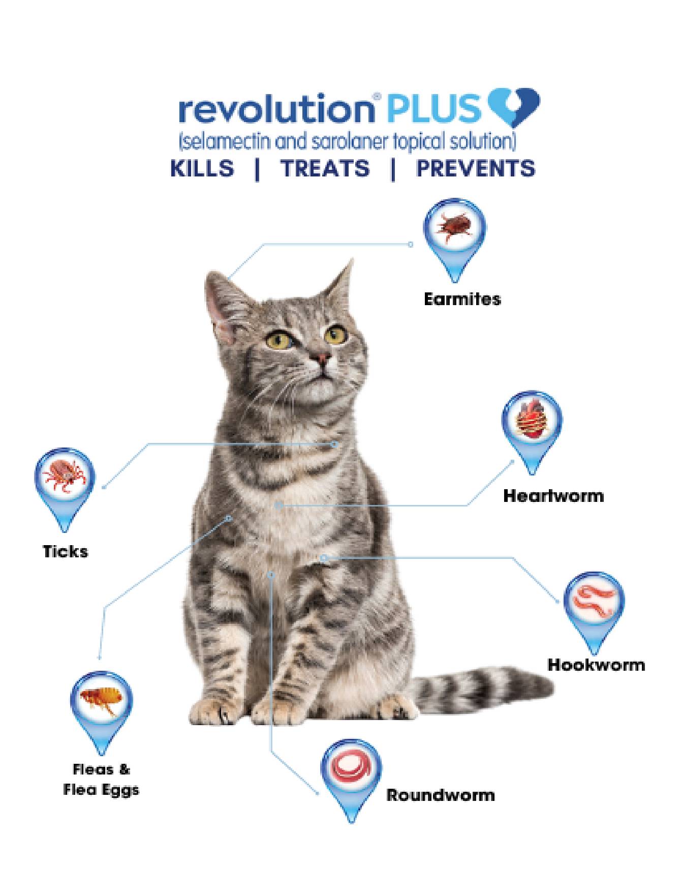 Revolution Plus Selamactin & Saraloner Topical Solution for 1.2-2.5kg Cat 3 Single Dose Tubes image 5