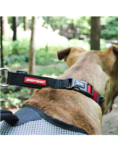 EzyDog Checkmate Collar Camouflage L image 4