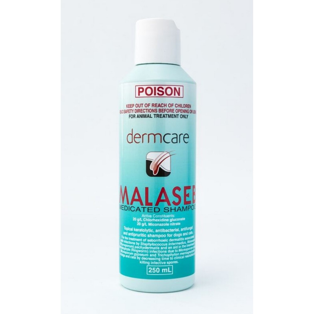 Dermcare Malaseb 250ml Medicated Shampoo image 2