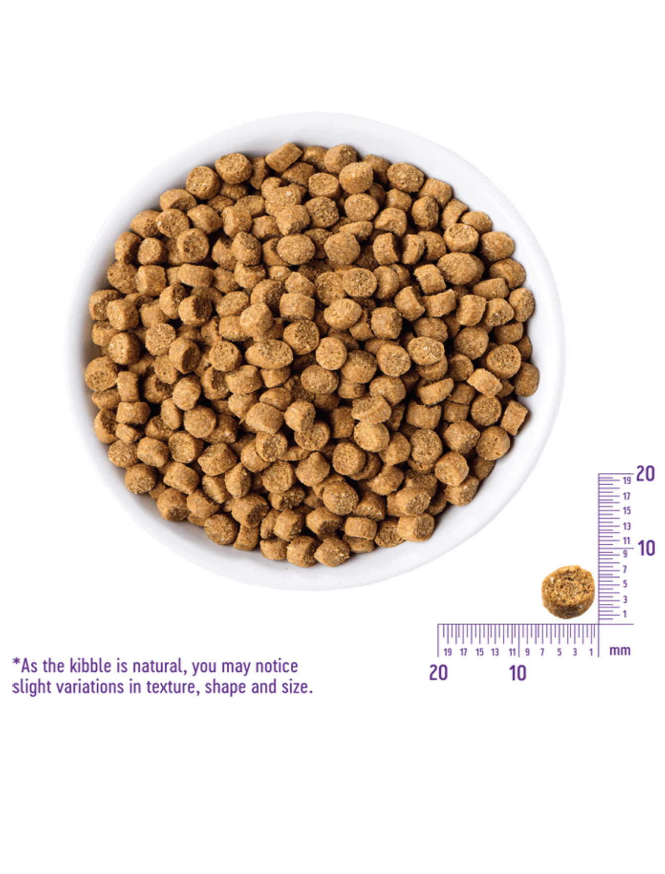 Wellness CORE Cat 900g (2lb) Indoor Salmon & Herring Grain Free Dry Cat Food image 2