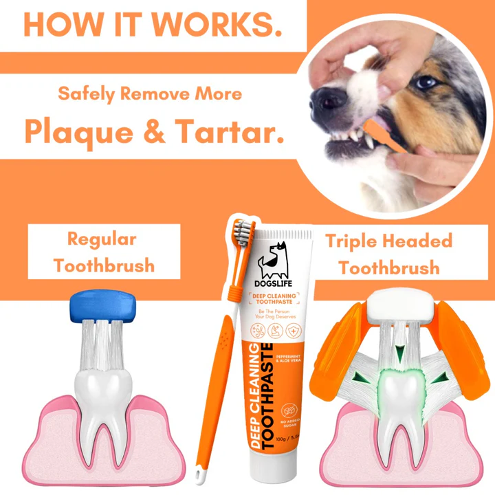 Dogslife Dental Care Kit 100g Deep Cleansing Toothpaste image 6