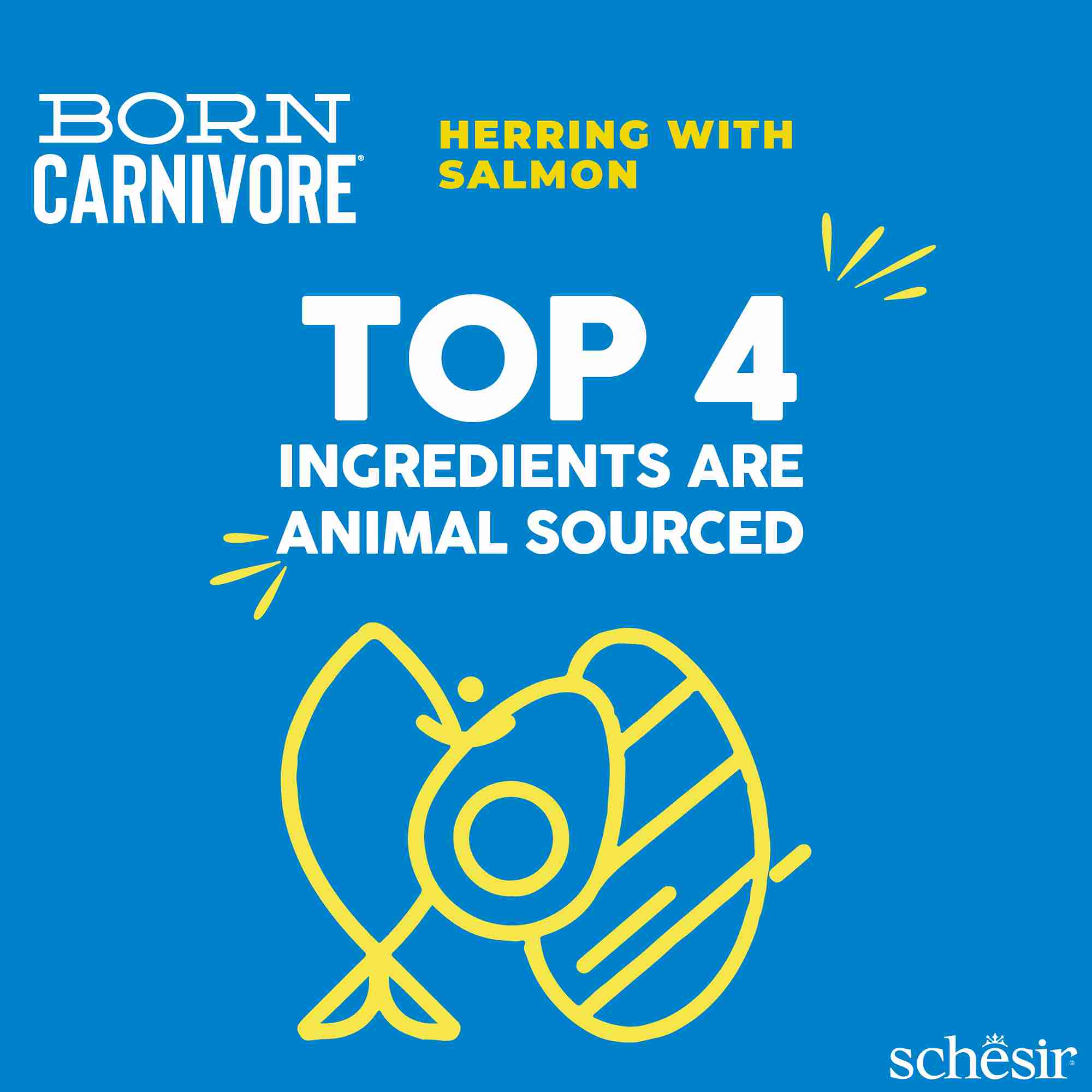 Schesir Cat 1.25kg Born Carnivore Herring with Salmon Baked Dry Recipe Dry Cat Food image 5