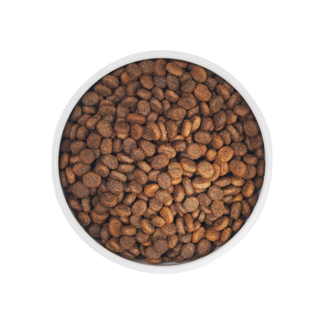 Zignature 1.8kg Whitefish Formula Dry Dog Food image 3