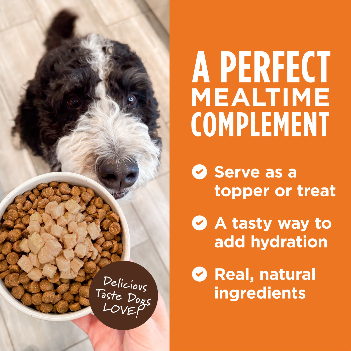 Instinct Healthy Cravings Dog 3oz Grain Free Real Lamb Wet Dog Food Topper image 2