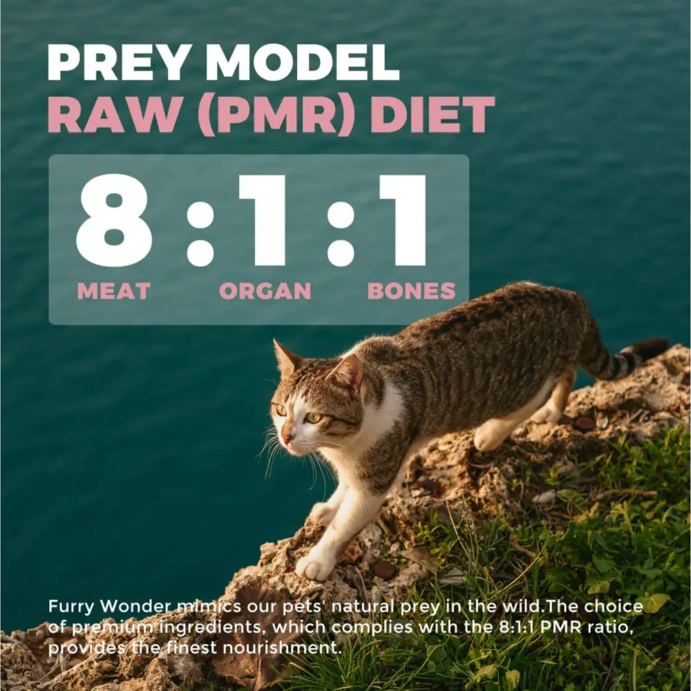 Furry Wonder IMMUNE BOOST Freeze-dried Raw Turkey & Chicken Recipe For Cats 8oz (226g) image 5