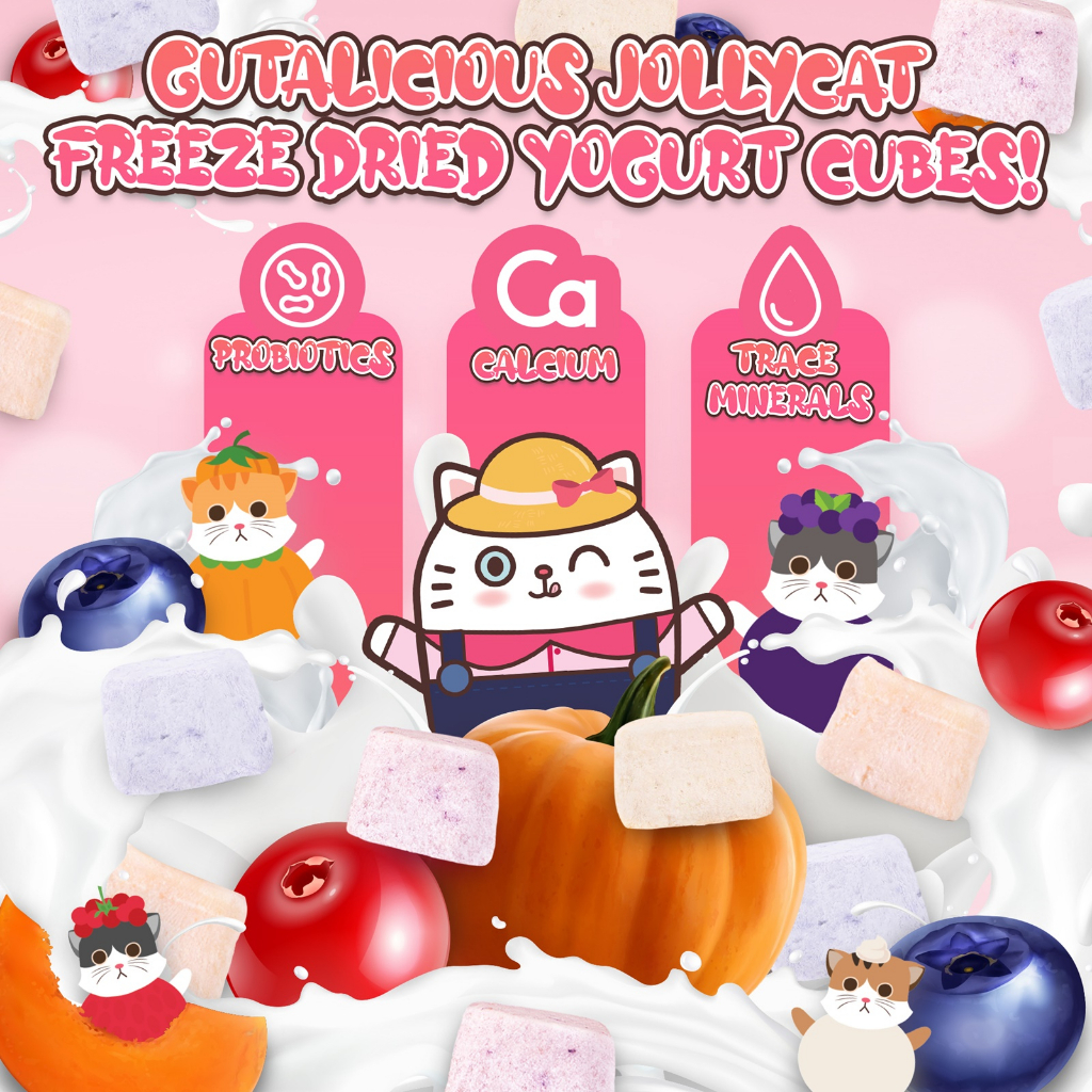 Jollycat Cat 20g Freeze Dried Assorted Flavour Yogurt Cubes Cat Treat (1g x 20 cubes) image 4
