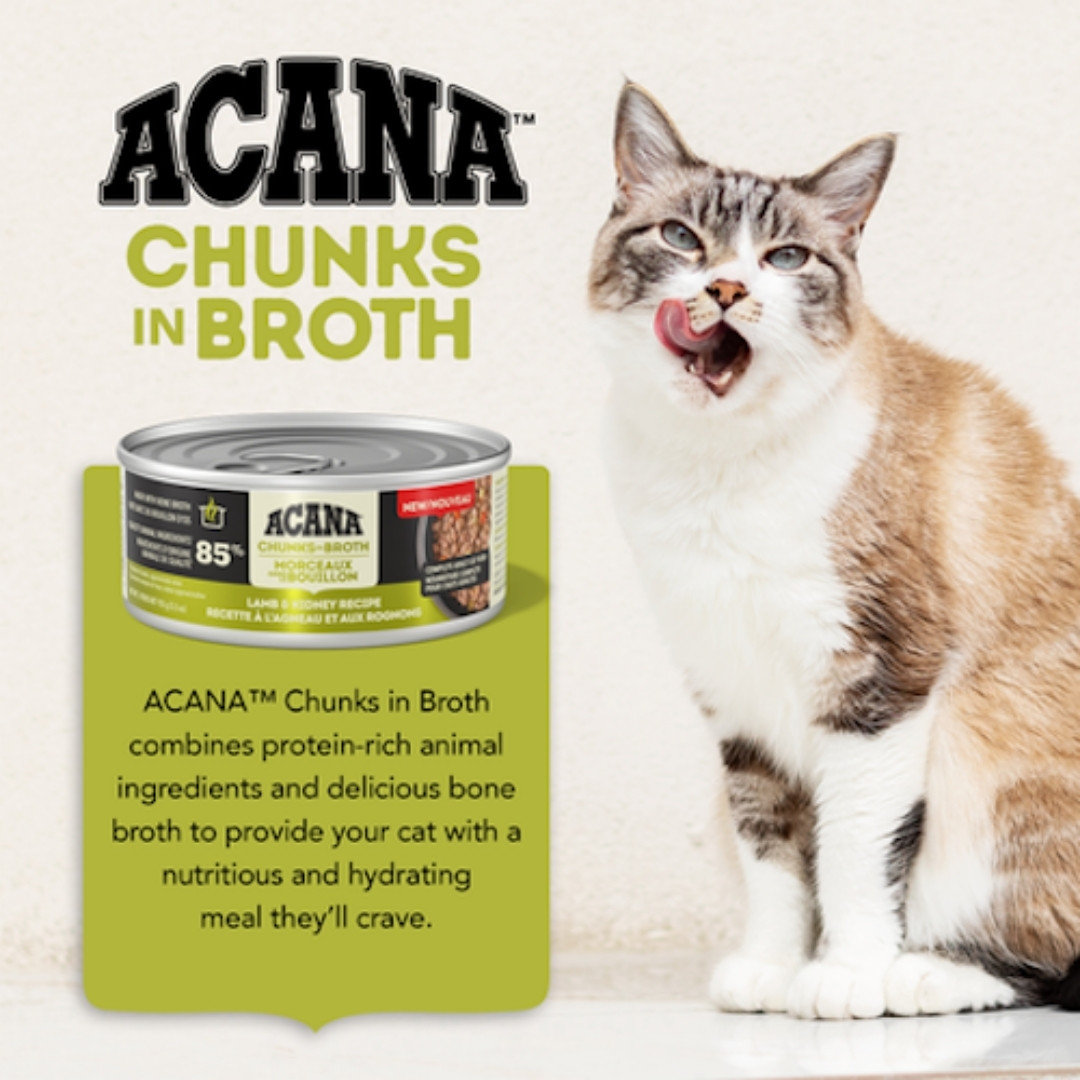 Acana Cat 155g Chunks In Broth Lamb & Kidney Recipe Wet Cat Food image 2
