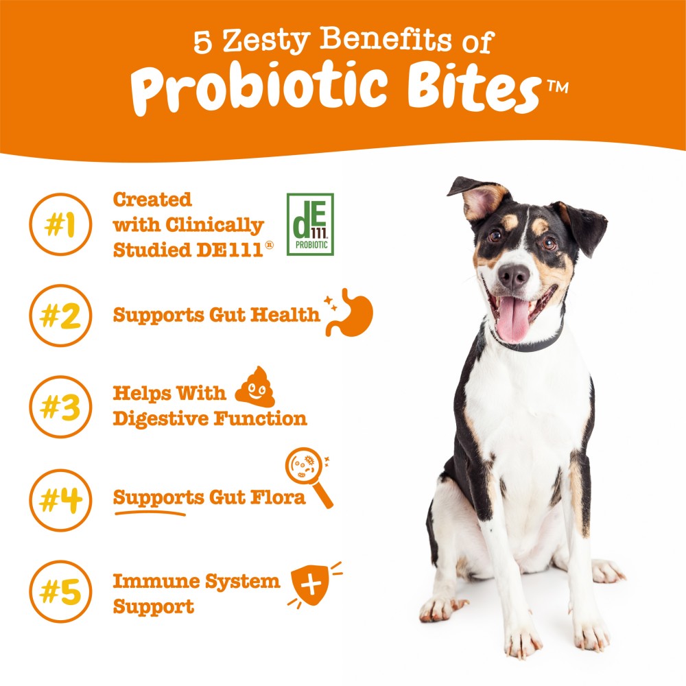 Zesty Paws 90ct Probiotics Bites Chicken Flavour Probiotic Supplement for Dogs image 4