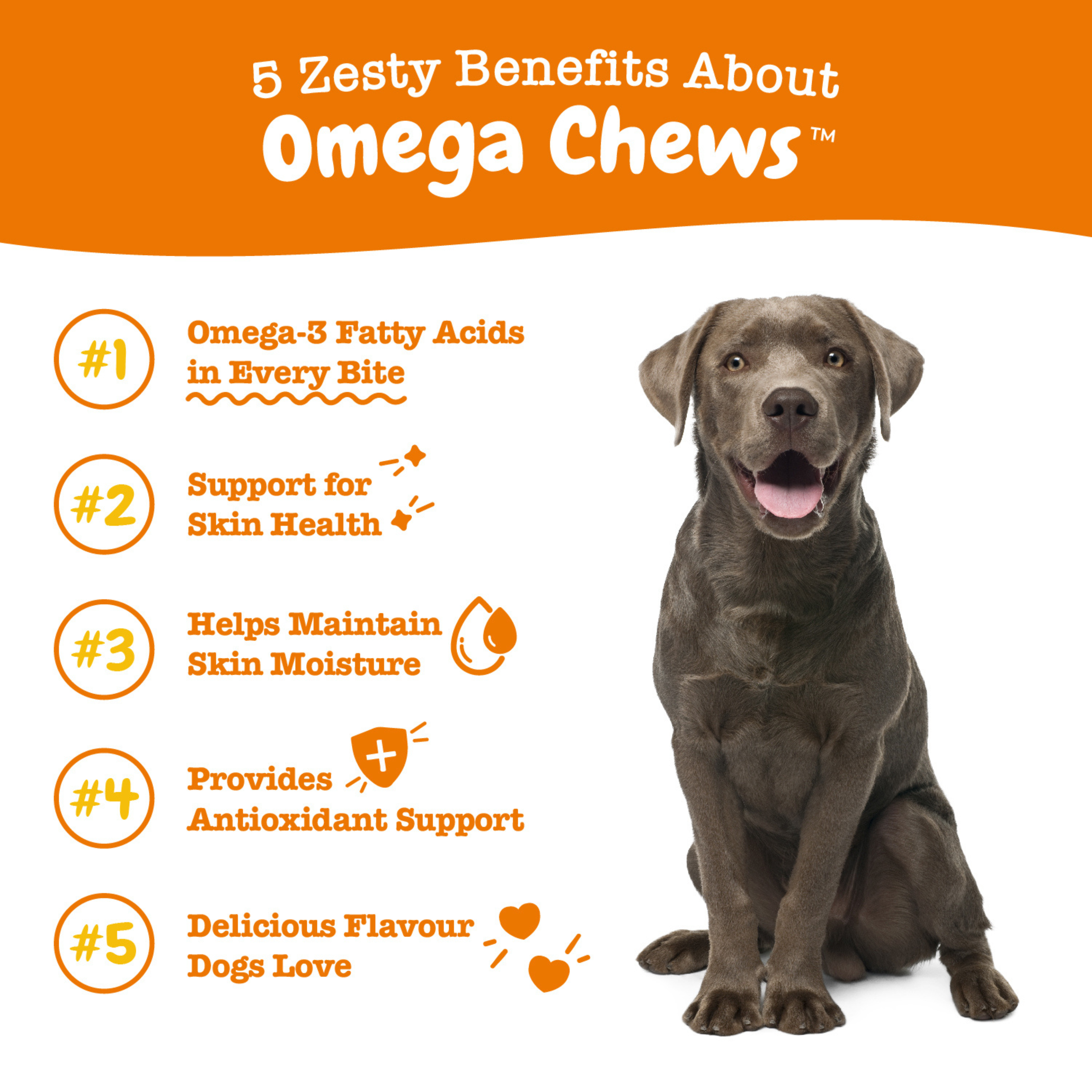 Zesty Paws 90ct Omega Bites Skin & Coat Supplement for Dogs image 4