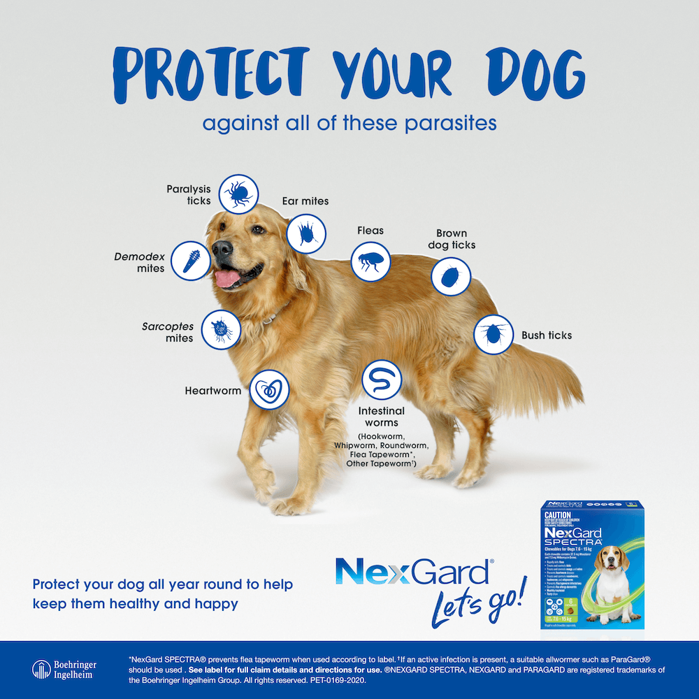 NexGard Spectra Afoxolaner 150mg Chewable Tablets for Dogs 30-60kg 3 Tablets image 5
