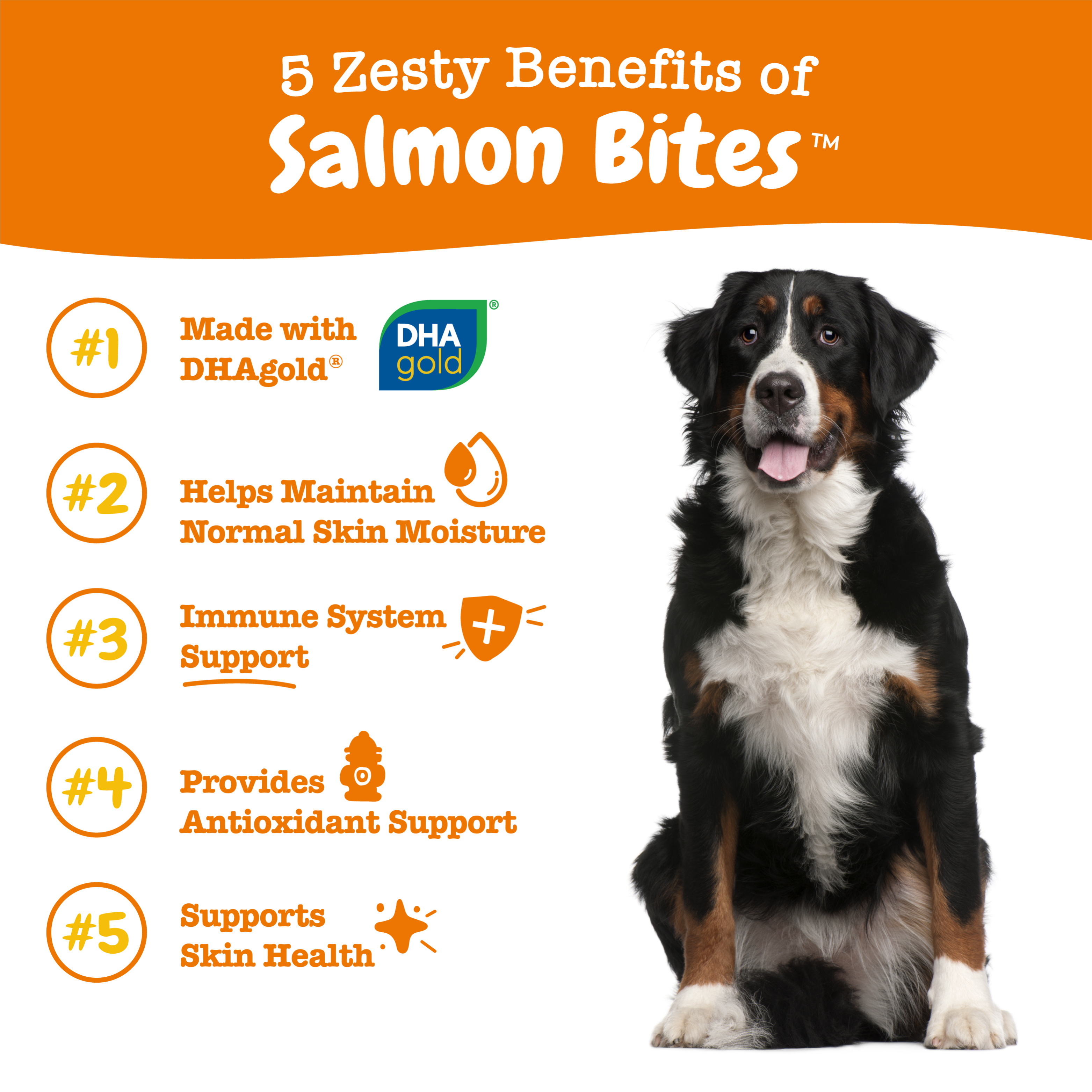 Zesty Paws 90ct Salmon Bites Skin Heath Supplement for Dogs image 4