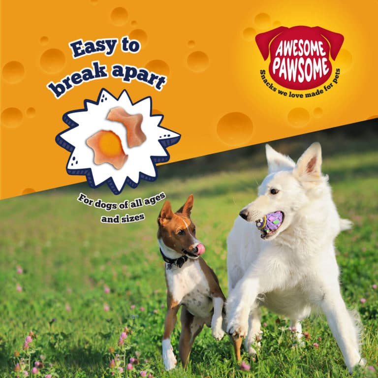 Awesome Pawsome 85g Grain Free Baconmania Dog Treat image 3