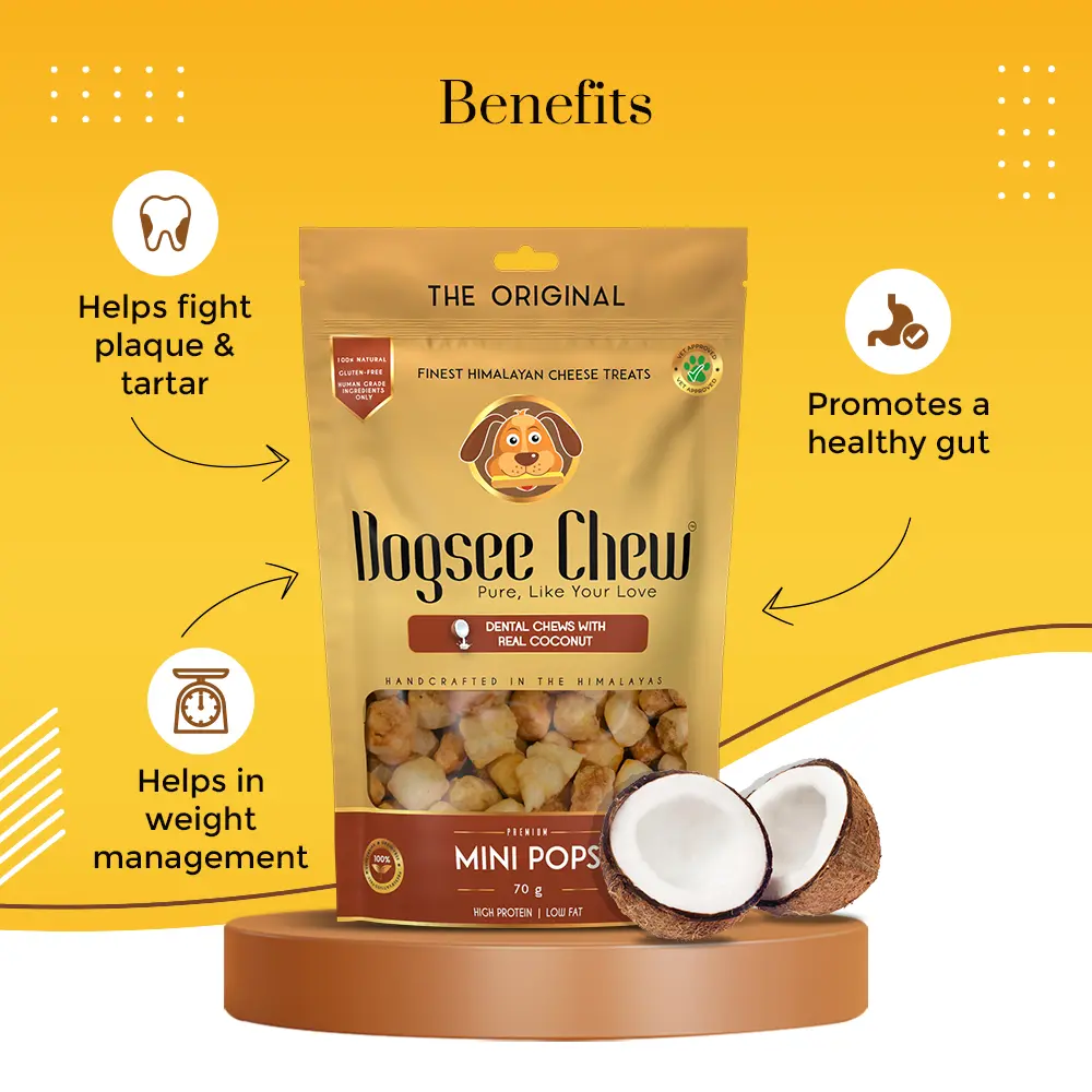 Dogsee Chew Dog 70g Coconut Minipops Dog Treat image 4