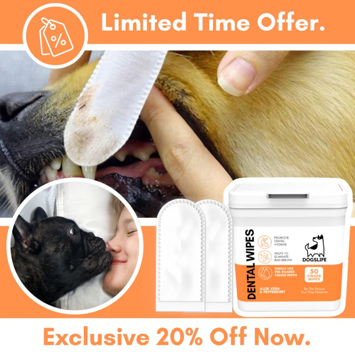 Dogslife Dental Cleaning Wipes 50 Finger Wipes image 5