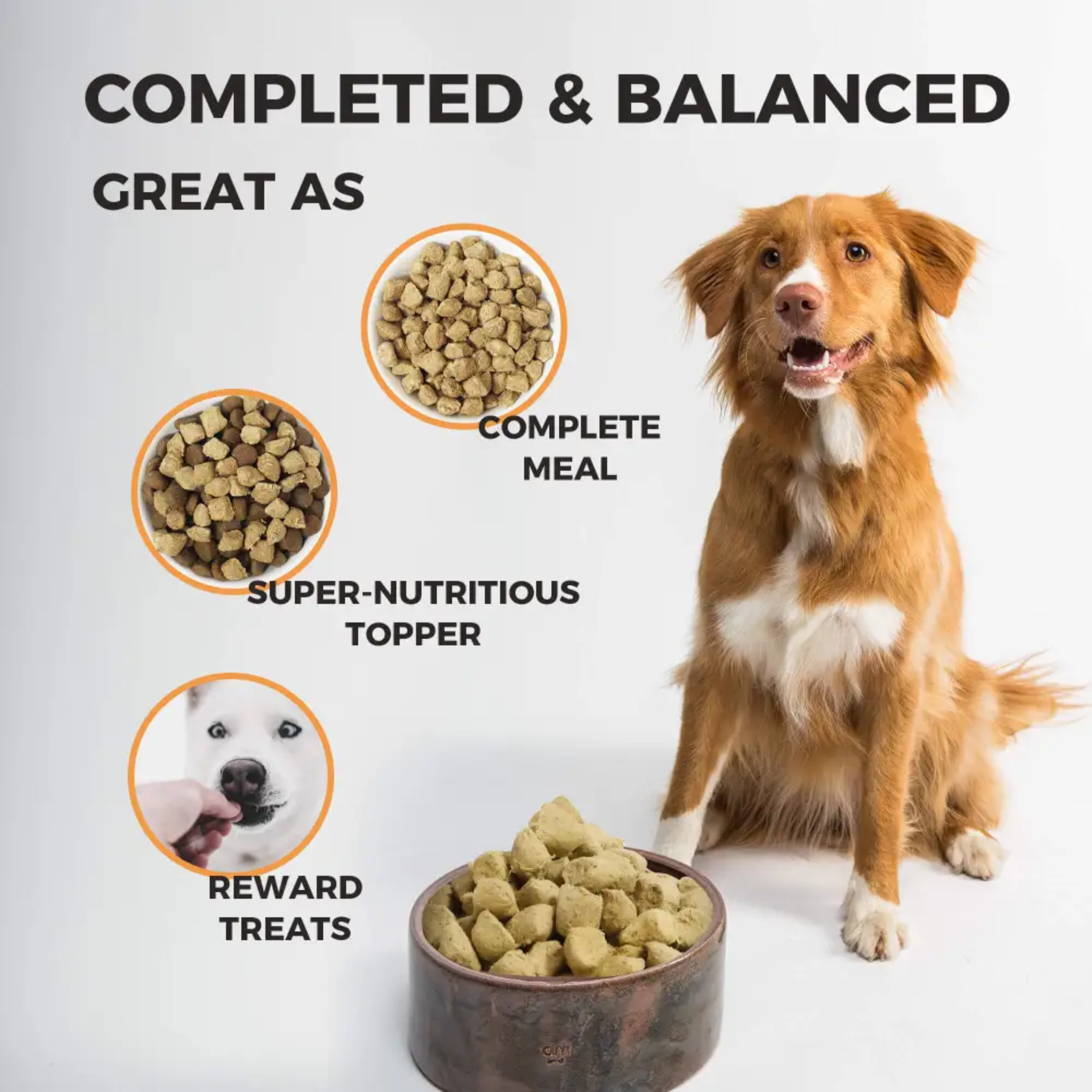 Furry Wonder Mobility Advance Freeze-dried Raw Recipe For Dogs 50g (trial pack) image 7