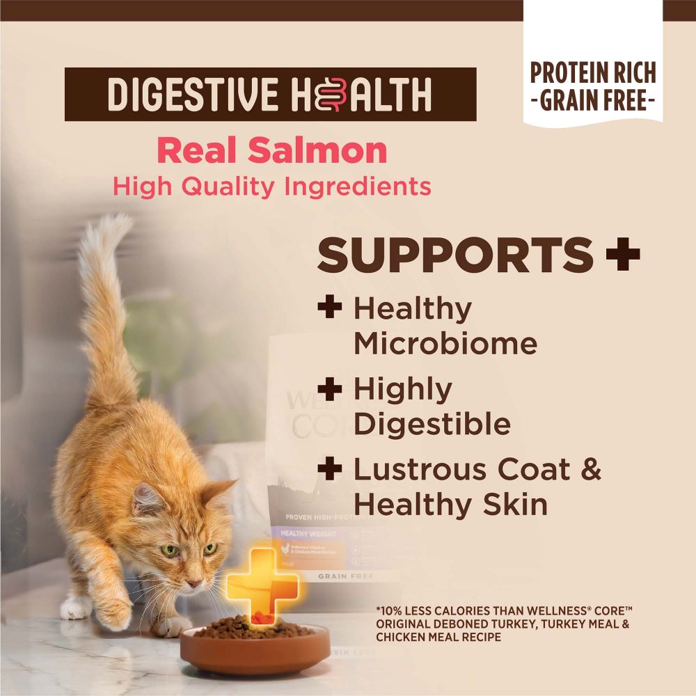 Wellness CORE Cat 4.9kg (11lb) Digestive Health with Wholesome Grains Salmon Recipe Dry Cat Food image 5