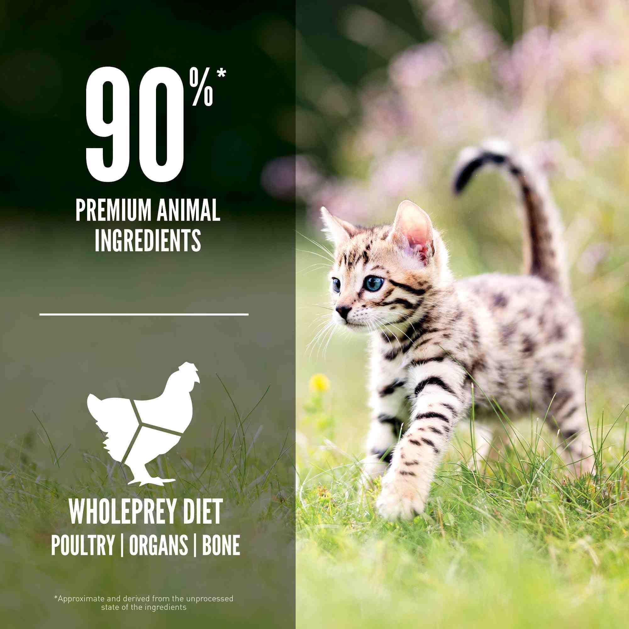 Orijen Cat 340g Kitten Dry Cat Food image 4