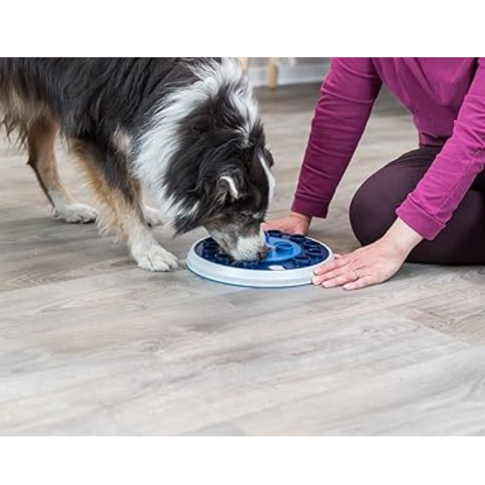 Trixie Twister Strategy Game for Dogs ø 28 cm image 5