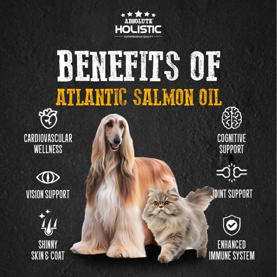 Absolute Holistic 250ml Wild Salmon Fish Oil Natural Pet Supplement for Cats & Dogs image 4