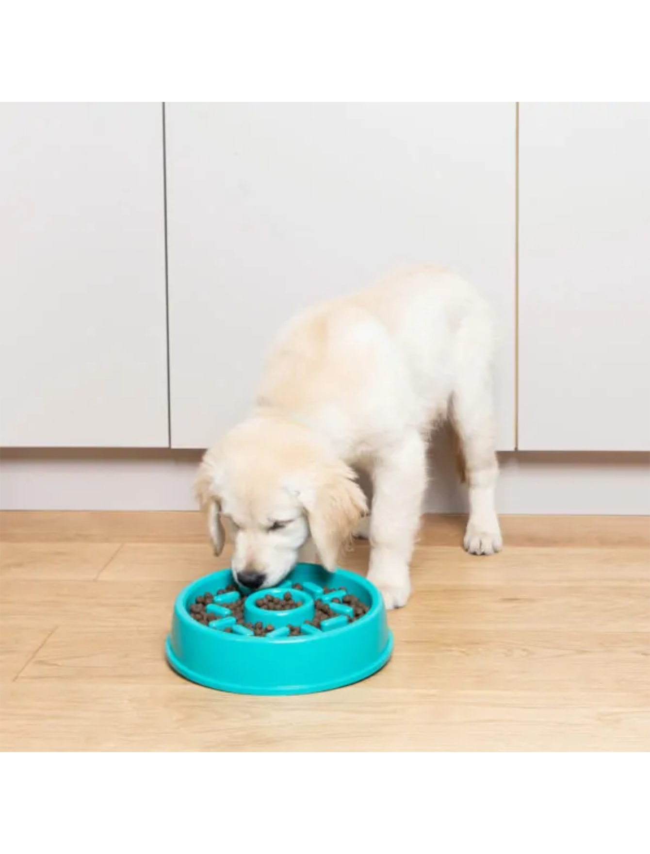 Zippypaws Happy Bowls - Donut image 4