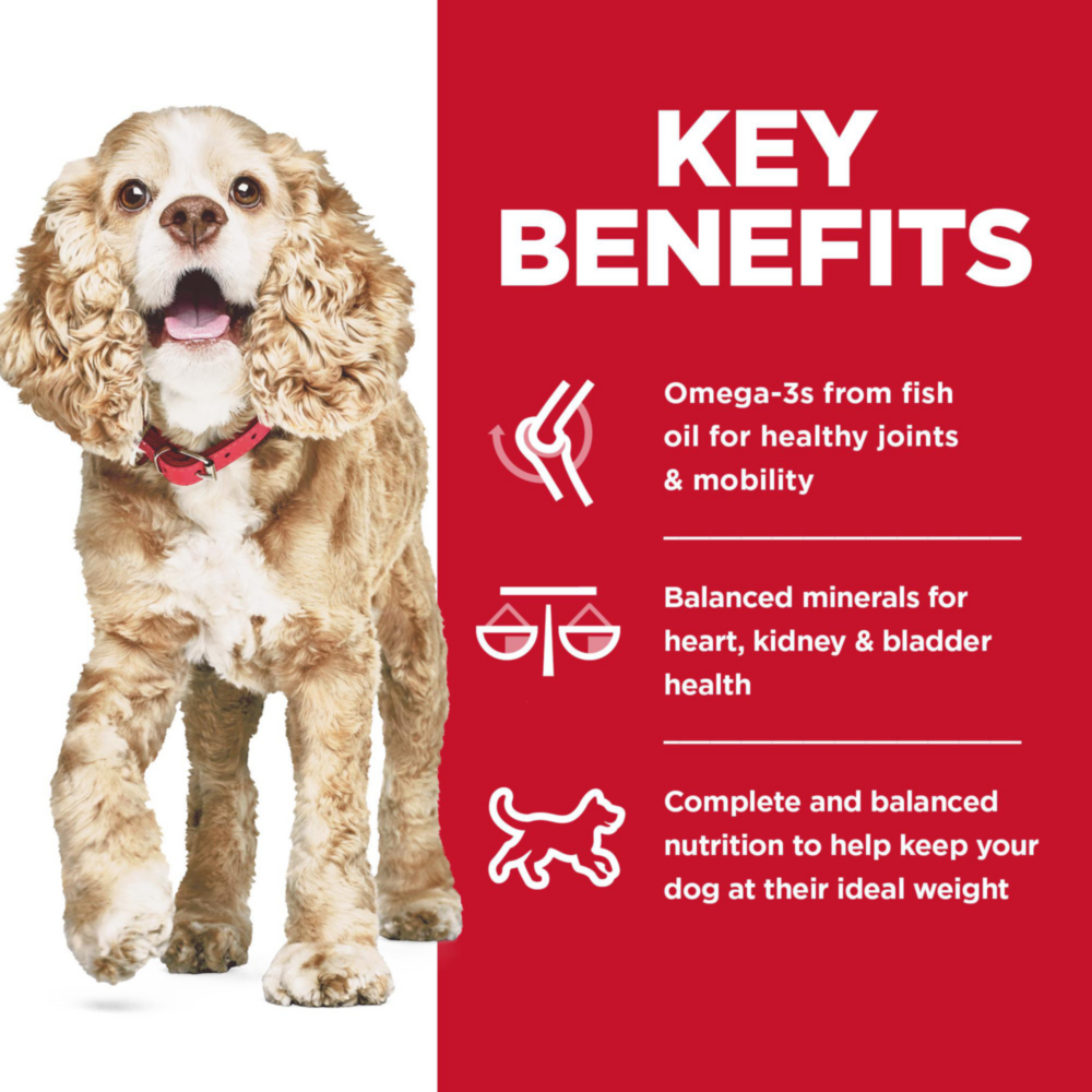 Hill'S Science Diet Canine Small & Mini Adult 11+ Chicken, Brown Rice, & Barley Recipe 2Kg Dry Dog Food image 3