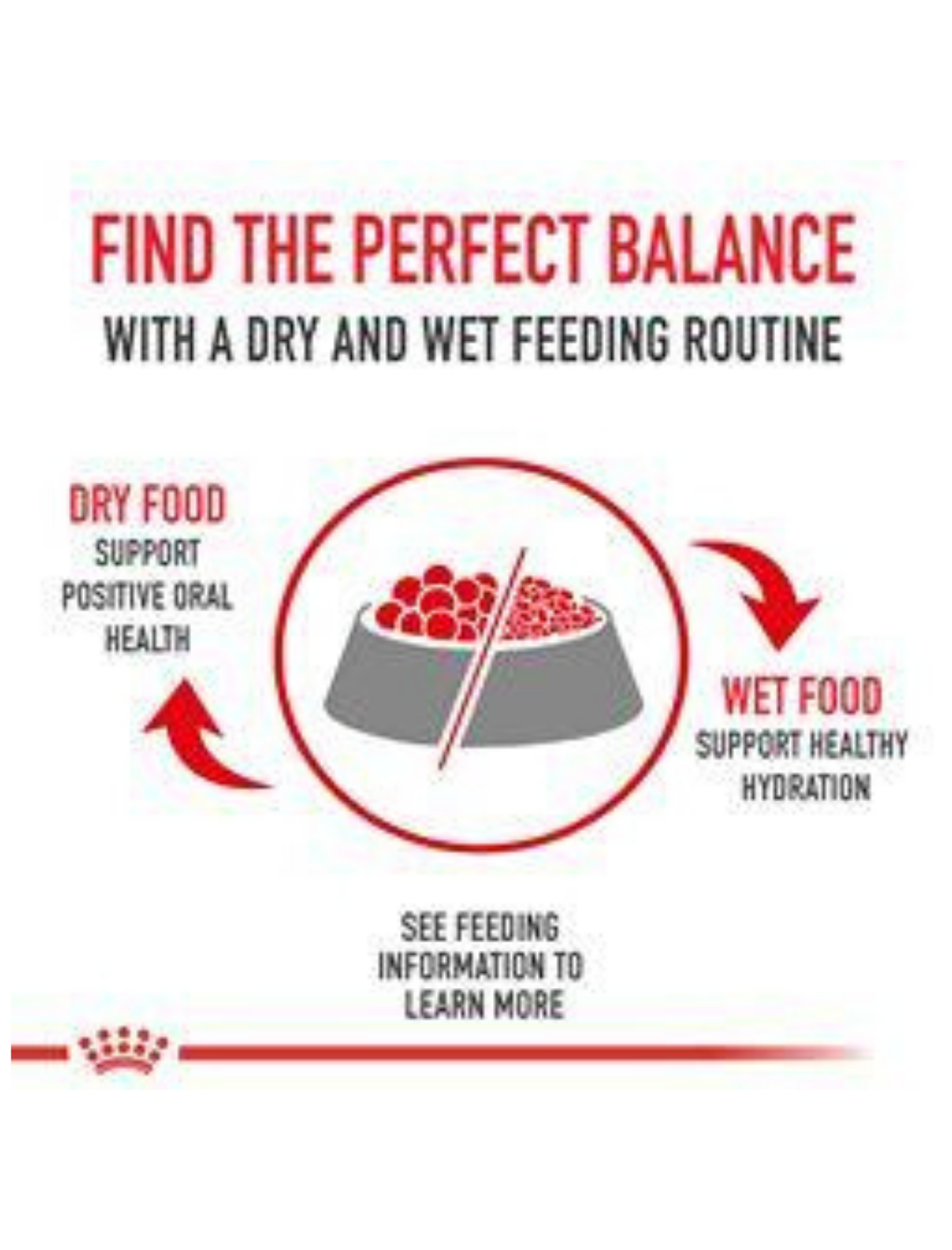 Royal Canin Cat 4kg Adult Persian Dry Cat Food image 3