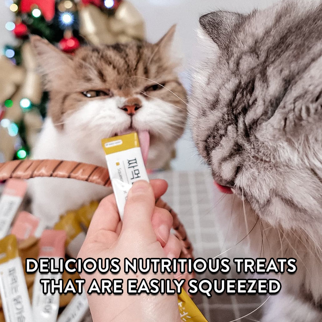 Bowwow Cat 480g Mumargin Squeeze Tuna Grain-Free Wet Cat Treats image 2