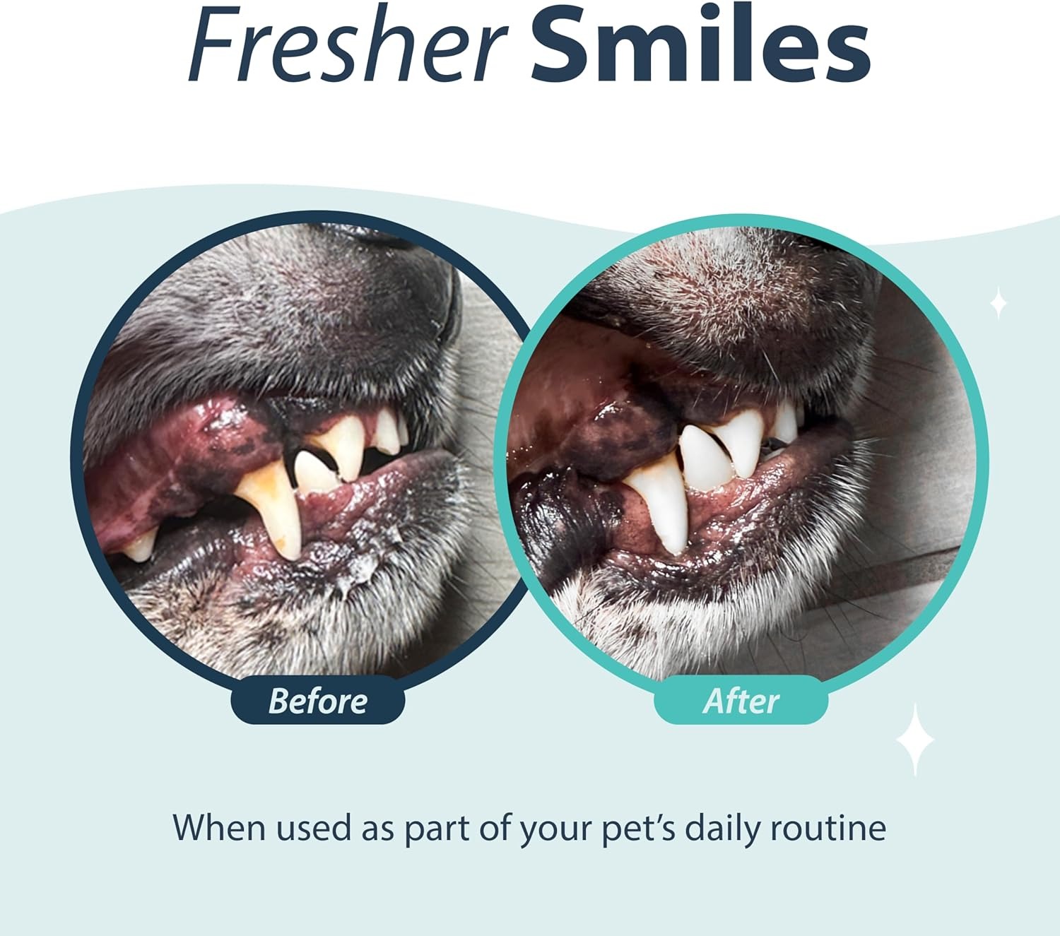 Dental Fresh Oral Spray Original Formula For Dogs & Cats 118ml image 2