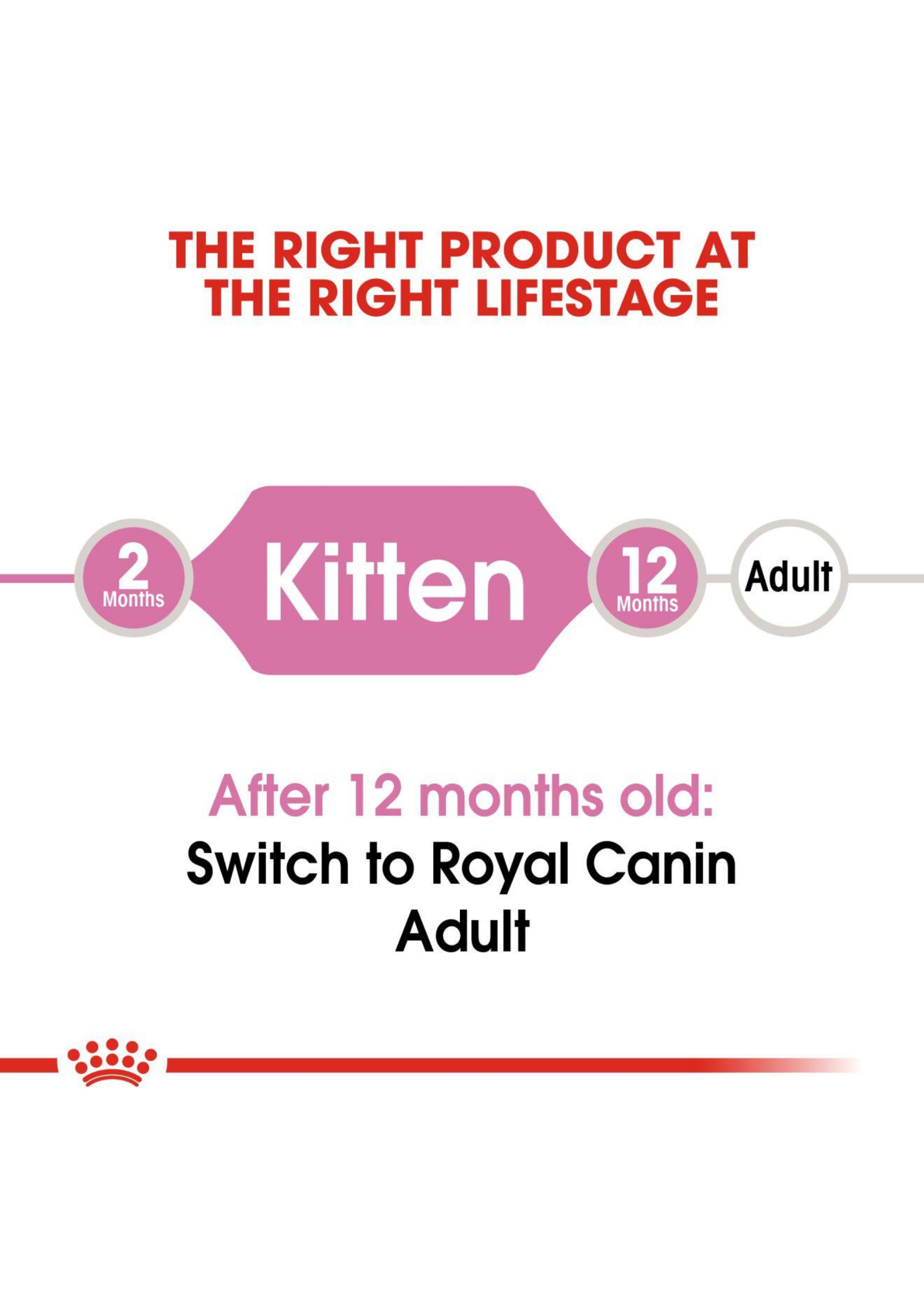 Royal Canin Cat 400g Kitten Dry Cat Food image 3