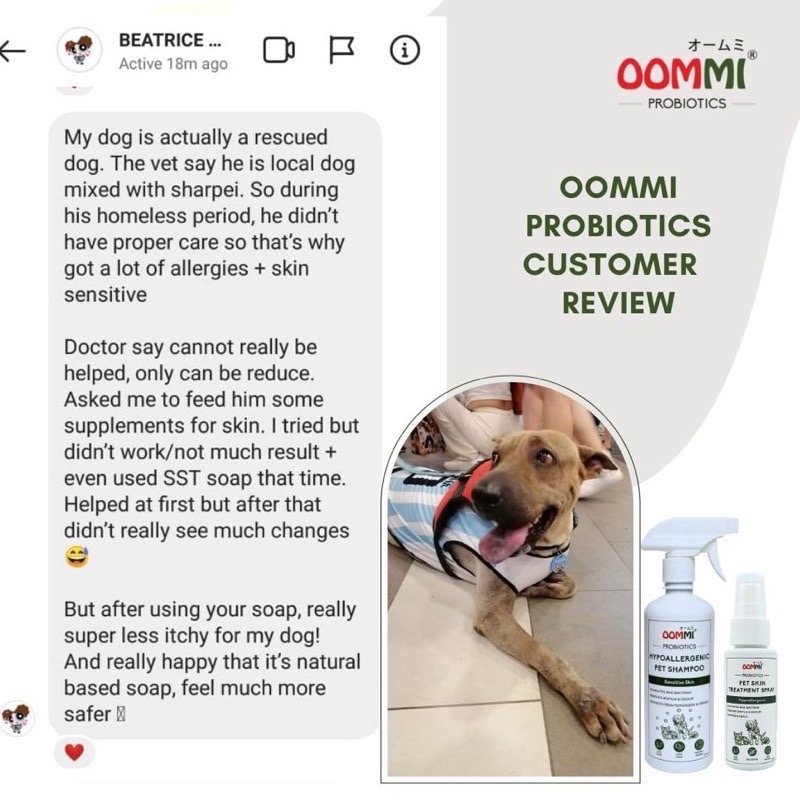 OOMMI 60ml Probiotics Pet Skin Treatment Spray image 4
