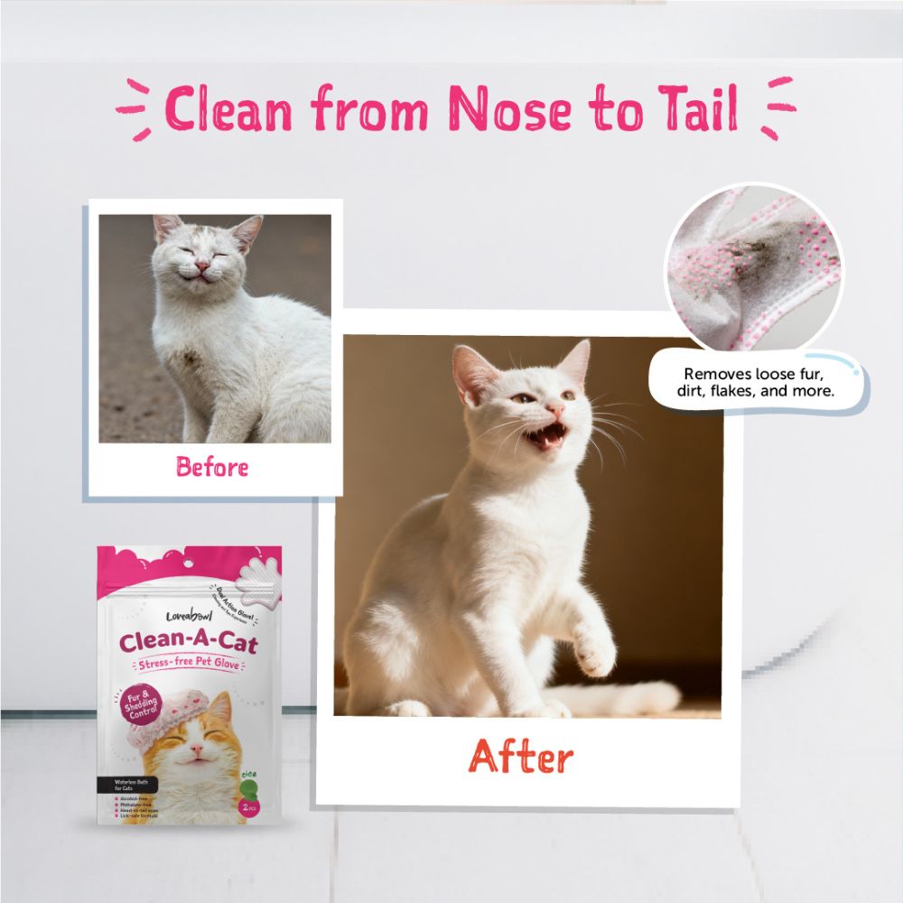 Loveabowl Cat Clean-A-Cat 10pcs Original Cica Pet Glove image 5