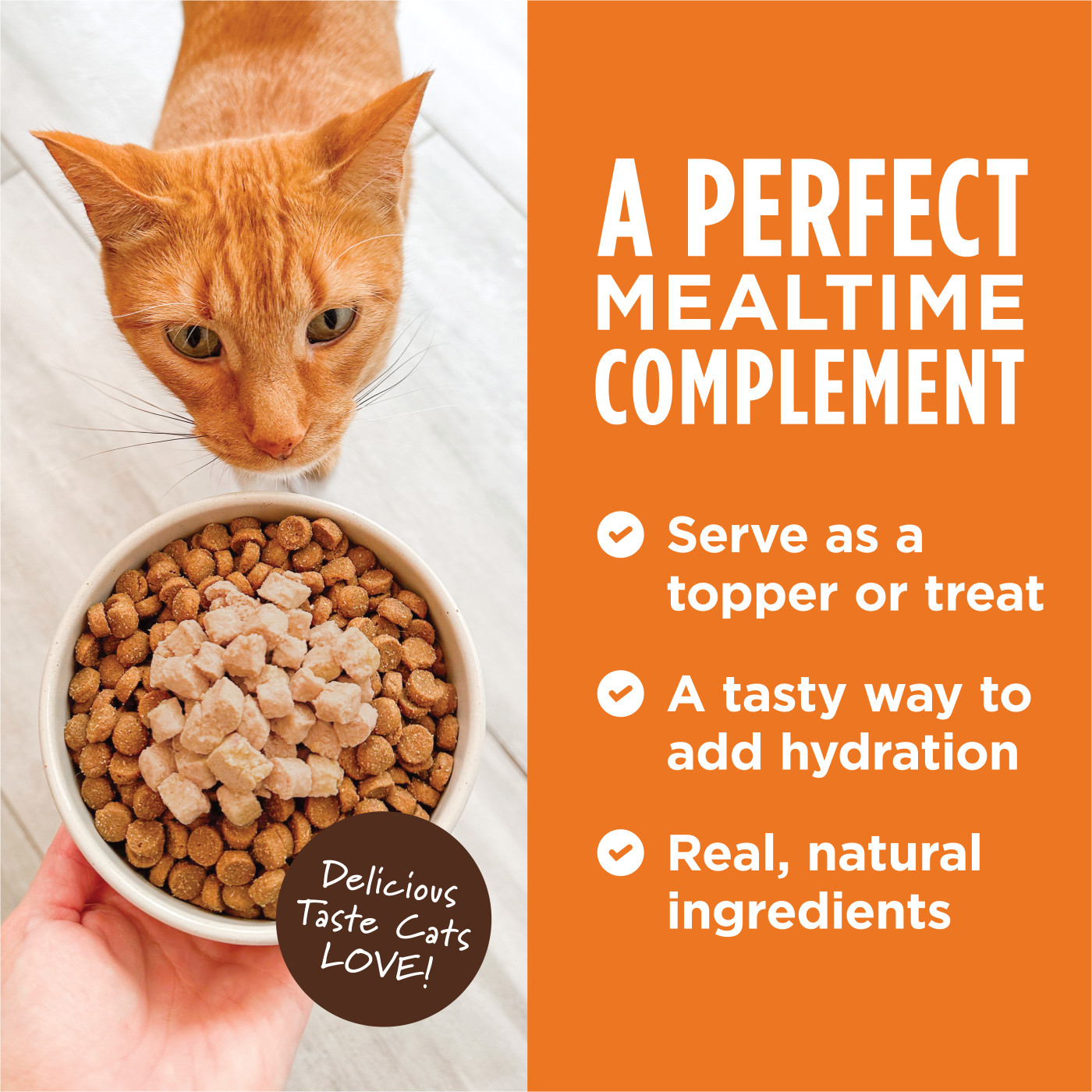 Instinct Healthy Cravings Cat 3oz Grain Free Real Salmon Wet Cat Food Topper image 4